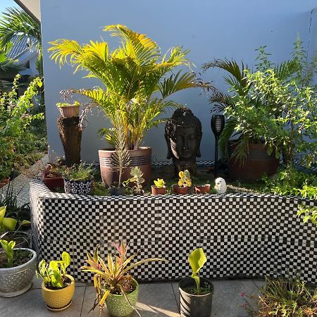Pasifika Guesthouse Nadi Zewnętrze zdjęcie