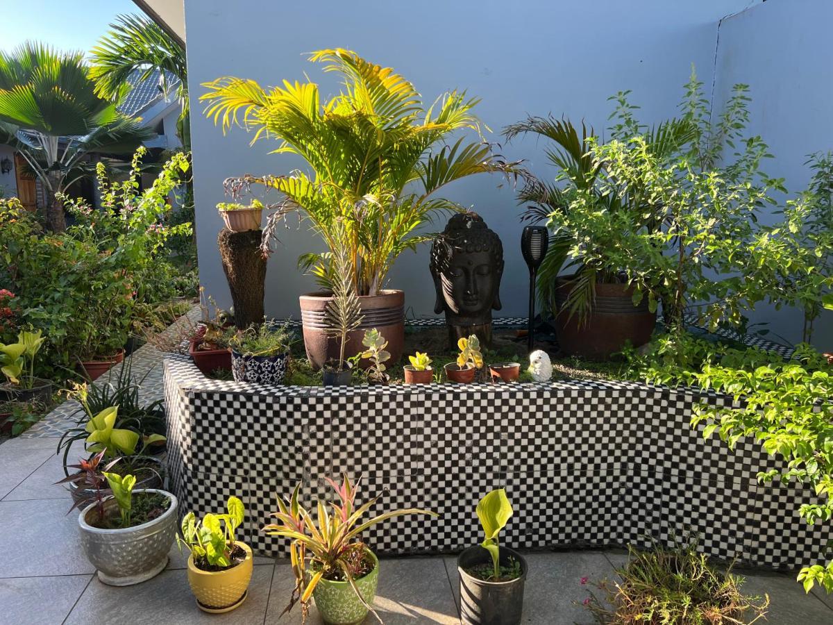 Pasifika Guesthouse Nadi Zewnętrze zdjęcie